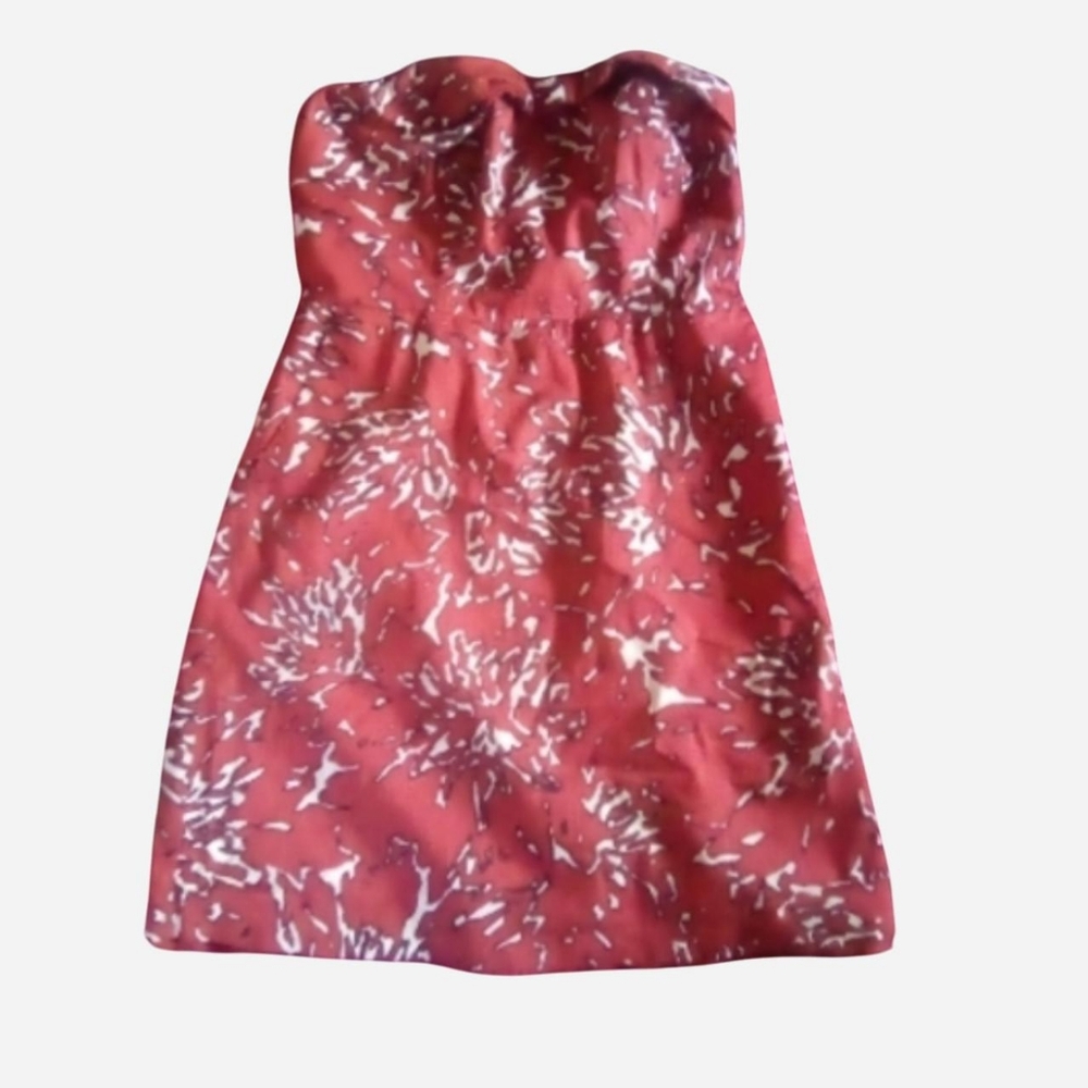 The Limited Strapless Red and White Dress